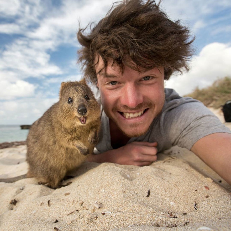 This Guy is the Master of Taking Funny Selfies With Animals | Memolition